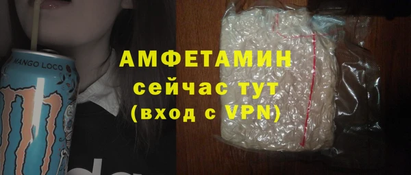 сатива Верхний Тагил