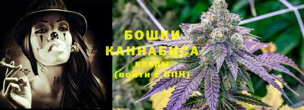 прущая мука Горняк