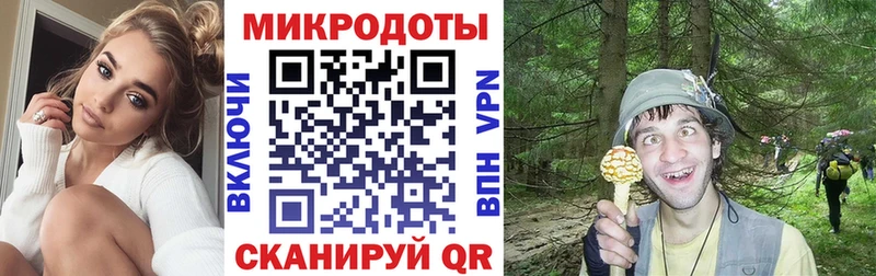 МЕГА вход  Зубцов  Псилоцибиновые грибы прущие грибы 